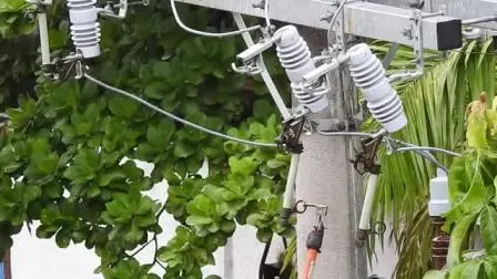 Tipi compositi IEC60282-2 da 11 kV di interruttori di connessione con interruzione di sicurezza